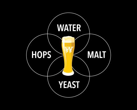 Widmer Mens Summer 2014 01
