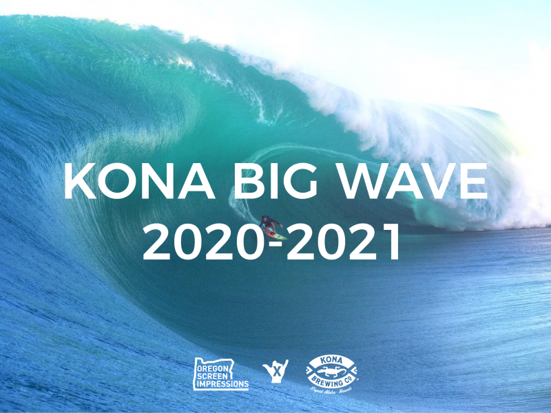 165673 BIG WAVE CONCEPTS
